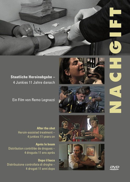 Nachgift (2009) poster