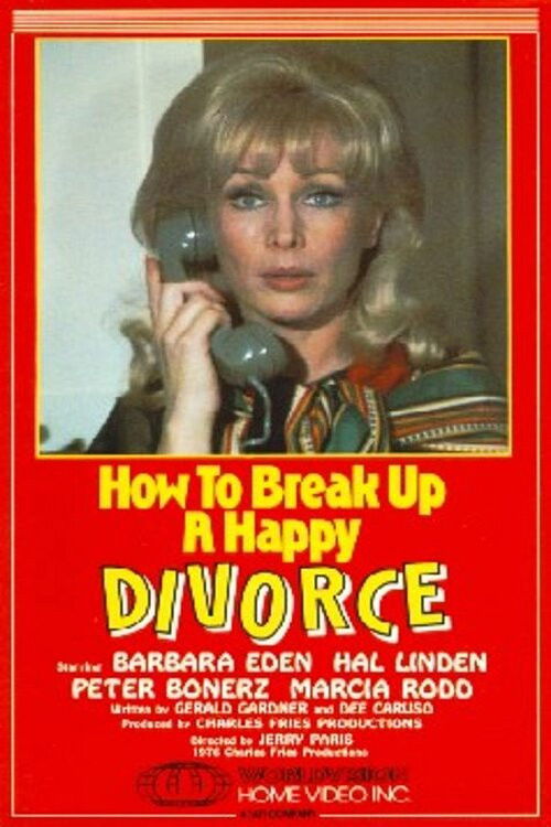 How to Break Up a Happy Divorce (1976) poster