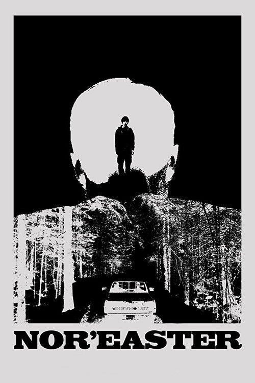 Nor'easter (2012) poster