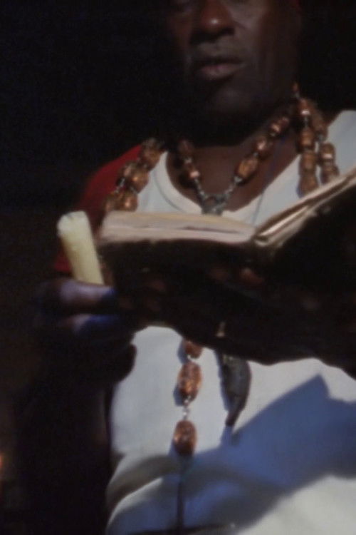 Benguelino Casting a Spell on the Camera (2011) poster