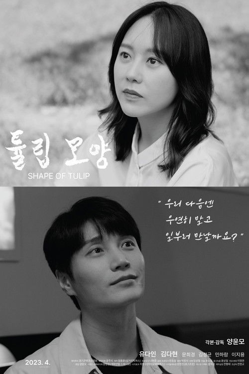 튤립 모양 (2023) poster
