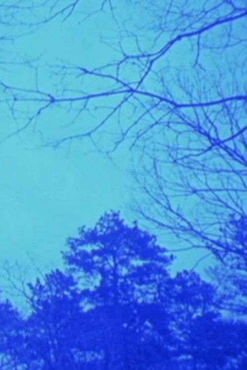 A Pattern Language (2010) poster