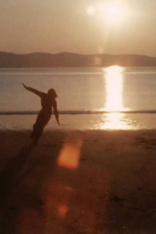 Nebelung (1975) poster