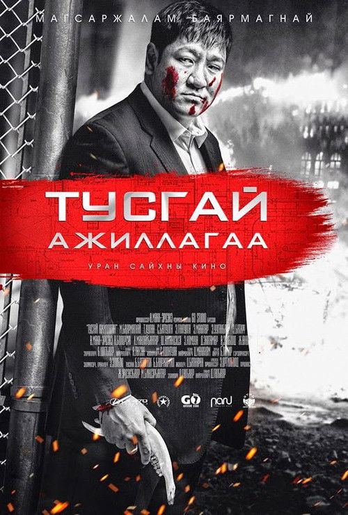 Special Operation (2014) poster