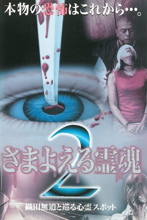 Wandering Souls 2: Exploring Haunted Spots with Oda Nobunaga (1999) poster