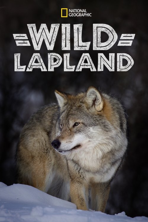 Wild Lapland (2020) poster