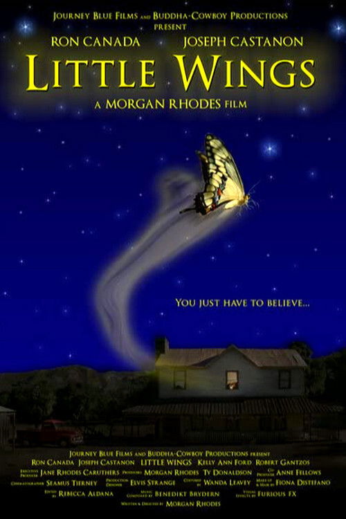 Little Wings (2007) poster