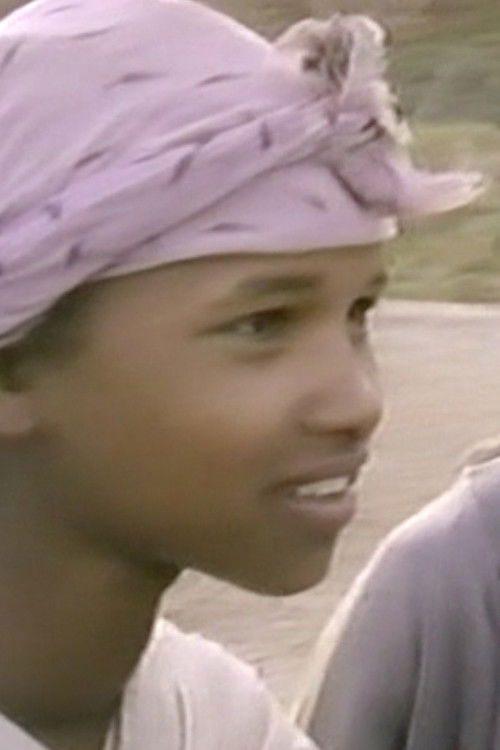 Imperfect Journey (1994) poster