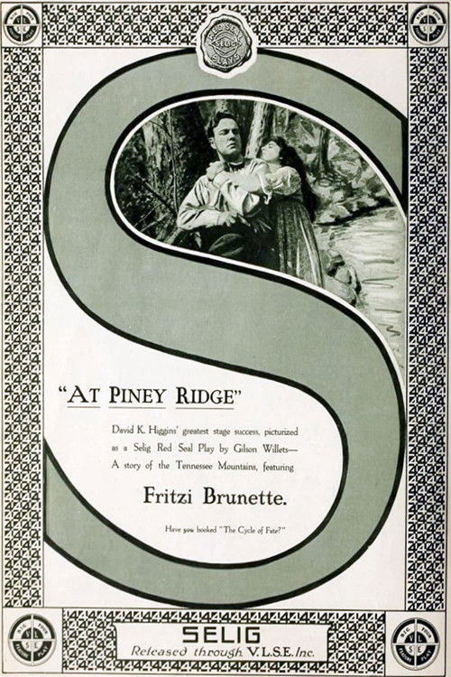 At Piney Ridge (1916) poster