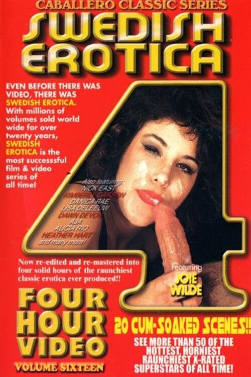 Swedish Erotica 16 (2003) poster