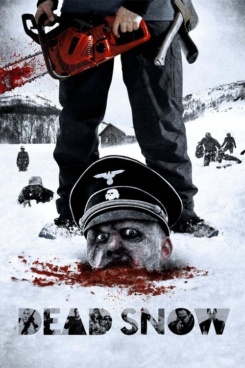Død snø (2009) poster