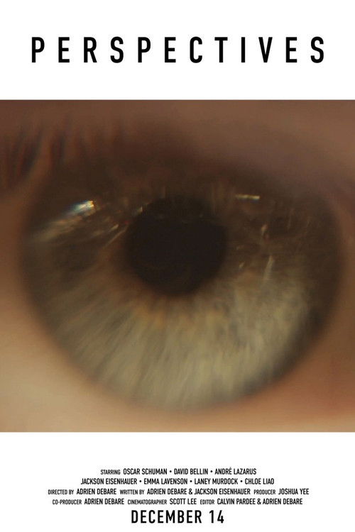 PERSPECTIVES (2023) poster