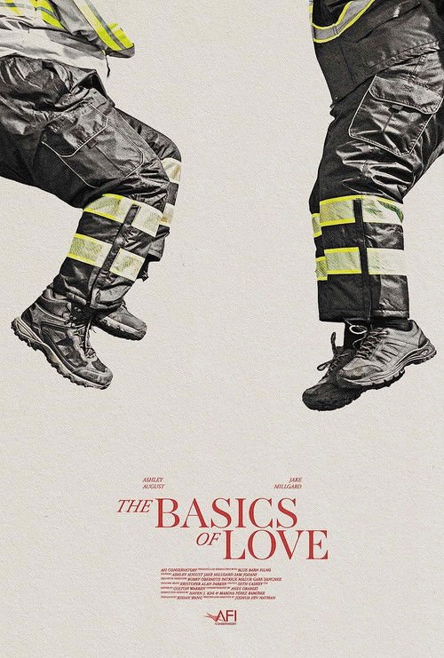 The Basics of Love poster