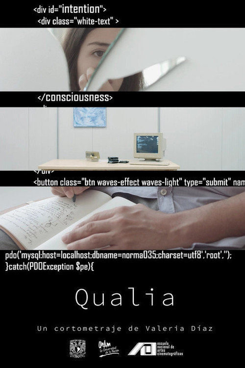 Qualia (2020) poster