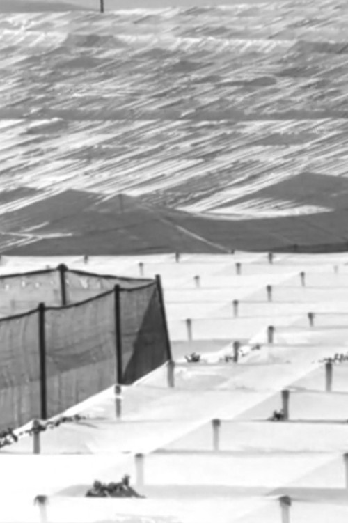 Kairos (2016) poster