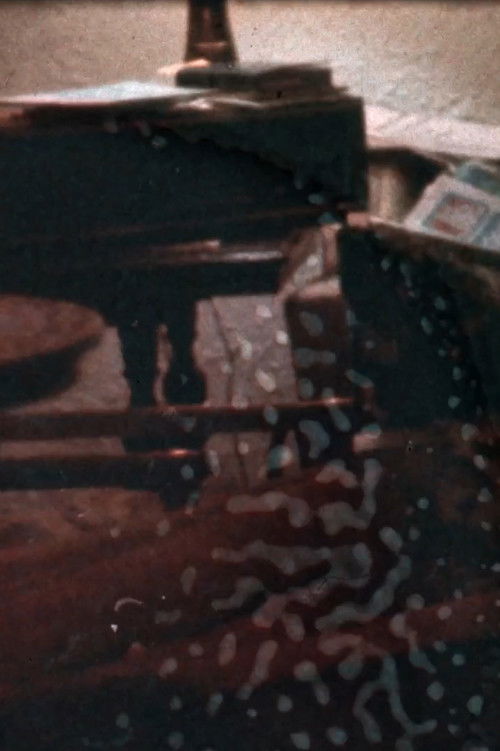 How to Be a Homosexual Part I (1980) poster