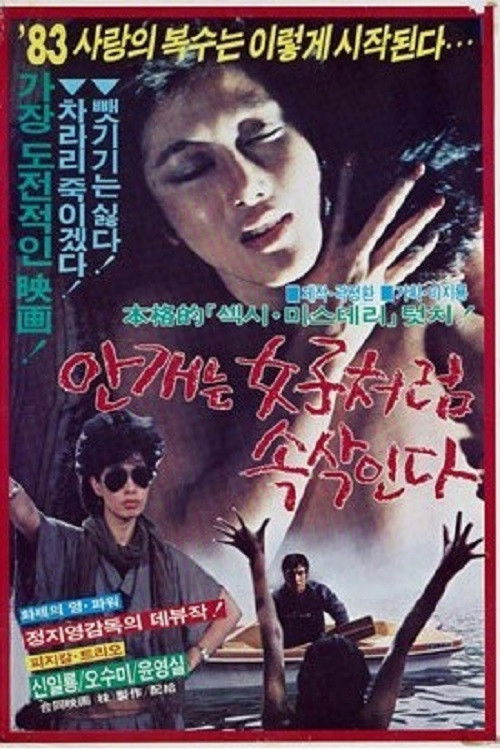 안개는 女子처럼 속삭인다 (1982) poster