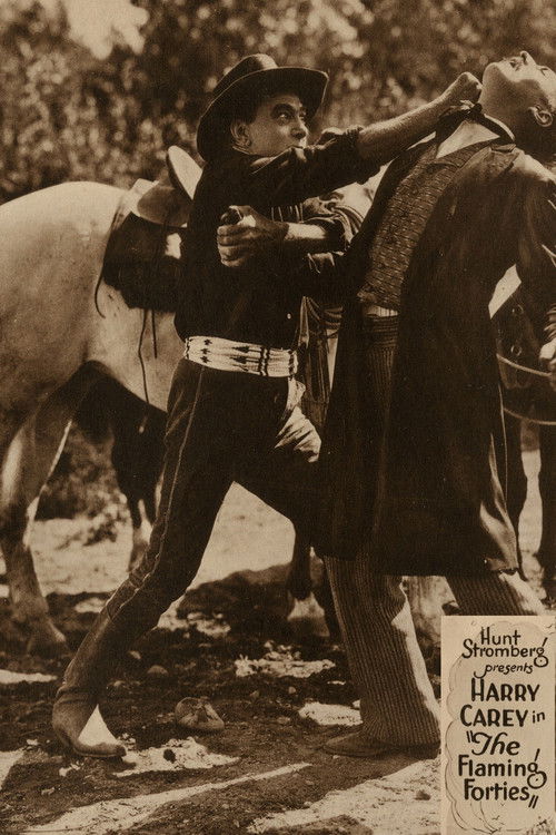 The Flaming Forties (1924) poster