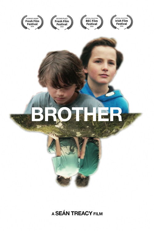 Brother (2017) poster