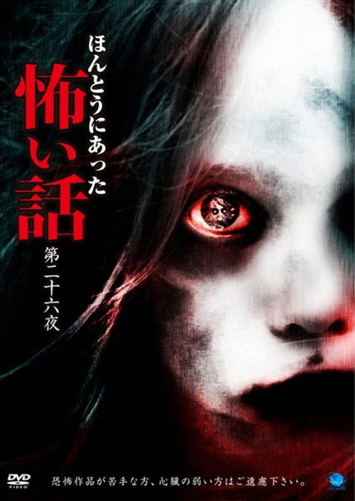 Scary True Stories: Night 26 (2013) poster