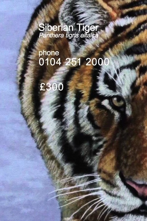 Siberian Tiger (2012) poster