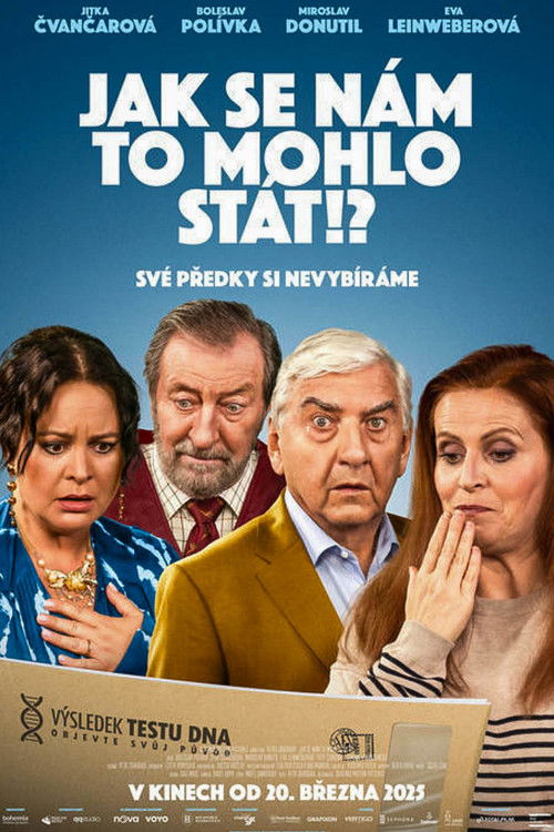 Jak se nám to mohlo stát!? (2025) poster