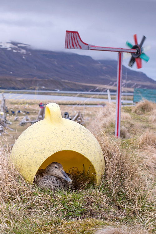 Fuglar (og menn) (2026) poster