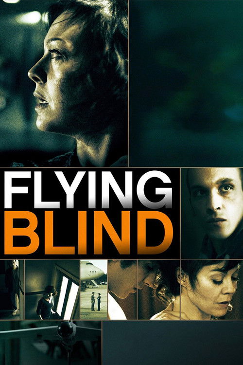 Flying Blind (2013) poster