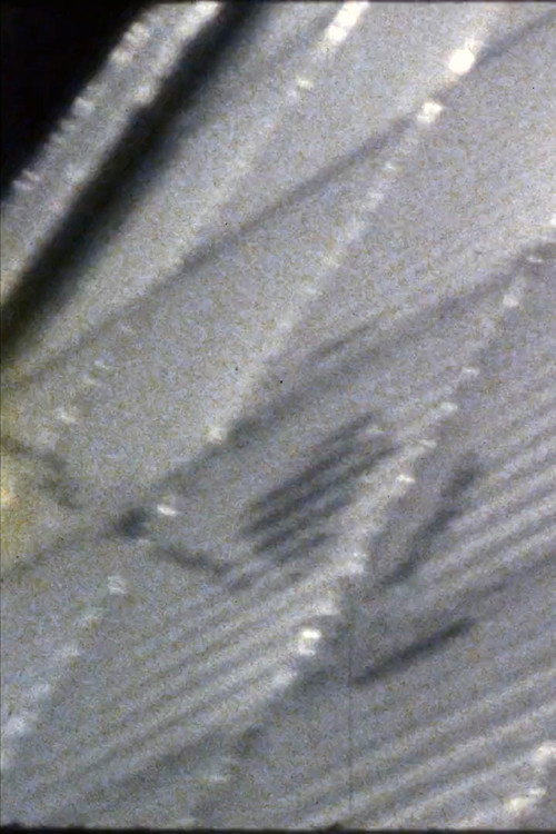 Base (1982) poster