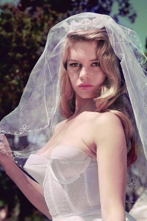 French Beauty (2005) poster