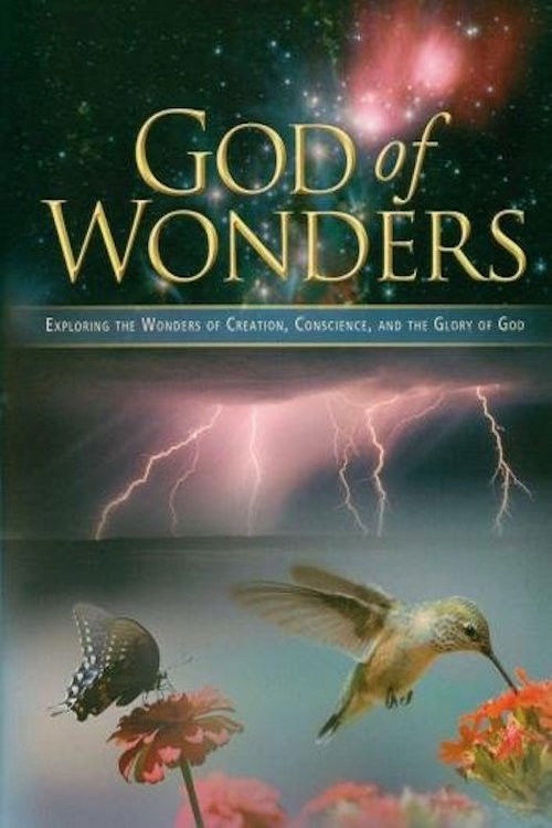 God of Wonders (2008) poster