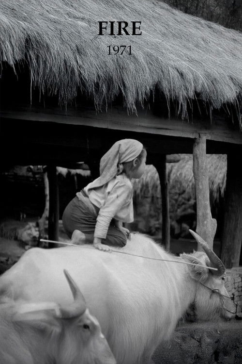 Ogień (1971) poster