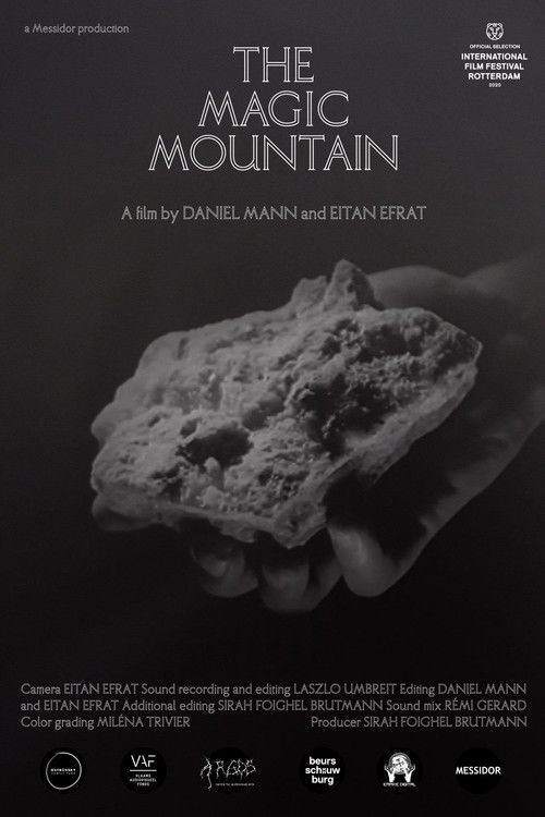 The Magic Mountain (2020) poster