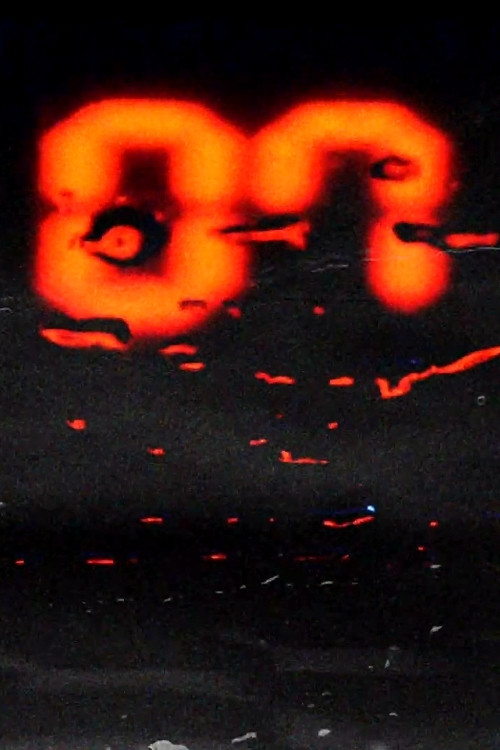 Budokan Boys: The Magic Mountain (2020) poster