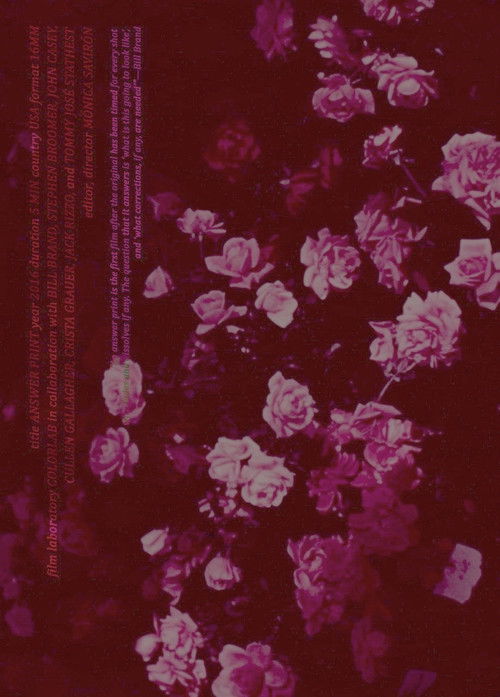 Answer Print (2016) poster