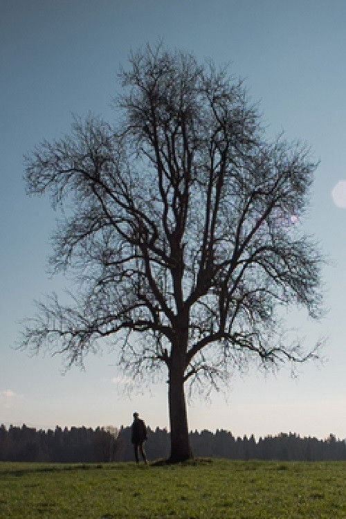 Outside (2015) poster