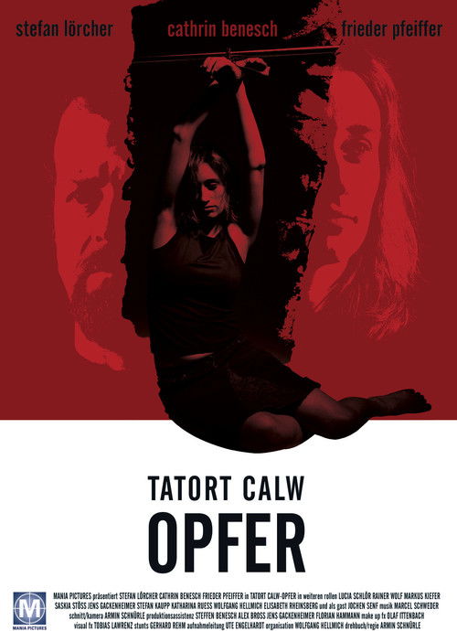 Tatort Calw - Opfer (2003) poster