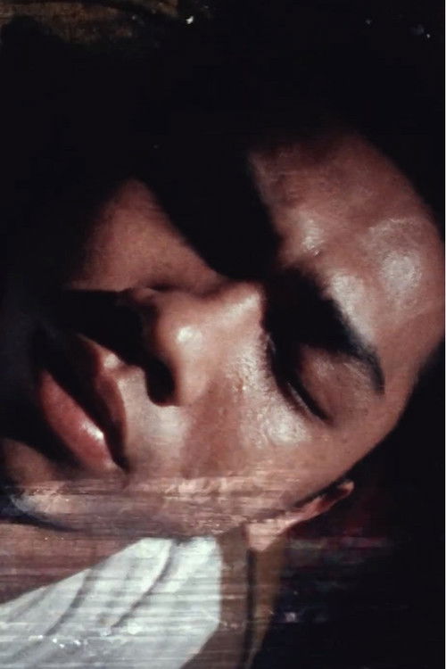 Tributaries (1995) poster