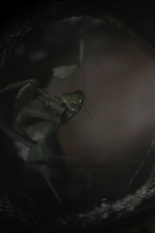 Spaghetti Ramen (2023) poster