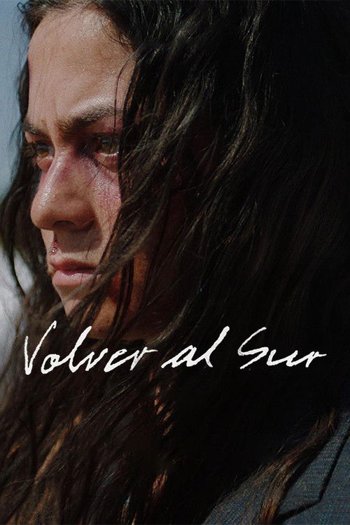 Returning South (2022) poster