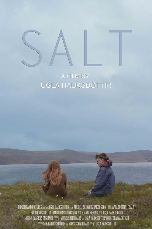Salt (2014) poster