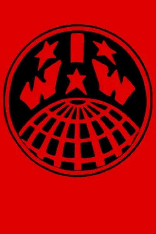 Haiti's Tourniquet (2008) poster