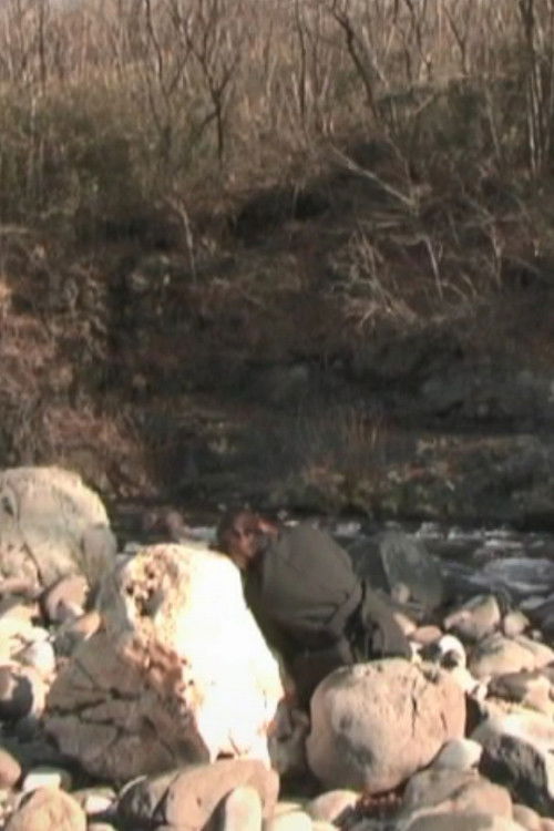 Memory of spider and moth (2008) poster