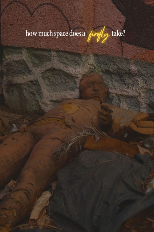 How Much Space Does A Firefly Take? poster