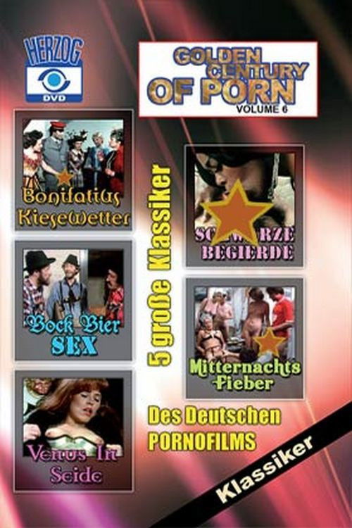 Golden Century of Porn 6 (2012) poster