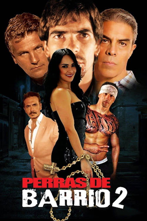 Perras de barrio 2 (2017) poster