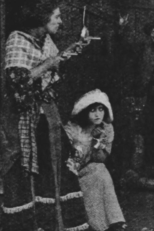 The Female Detective (1913) poster