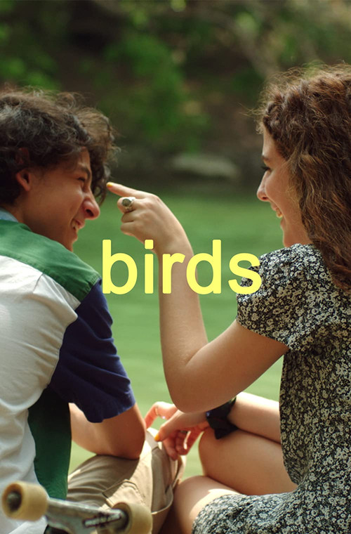 Birds (2021) poster