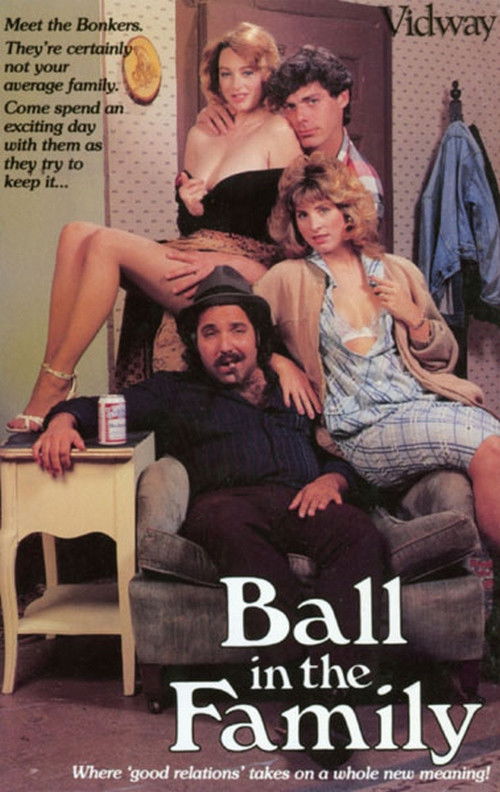 Ball in the Family (1988) poster