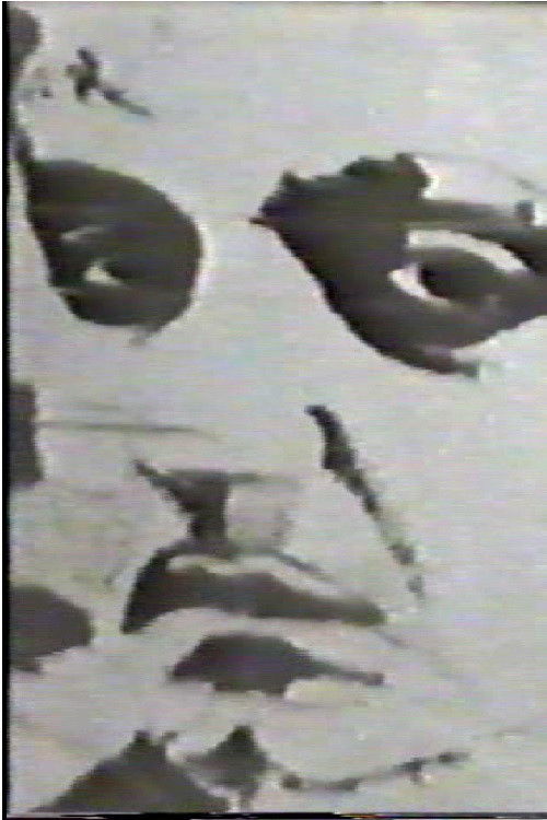 Goffredo (1967) poster